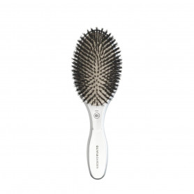 Brosse Expert Care Oval Silver Sanglier