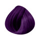 Pure Colors : 200 - Violet